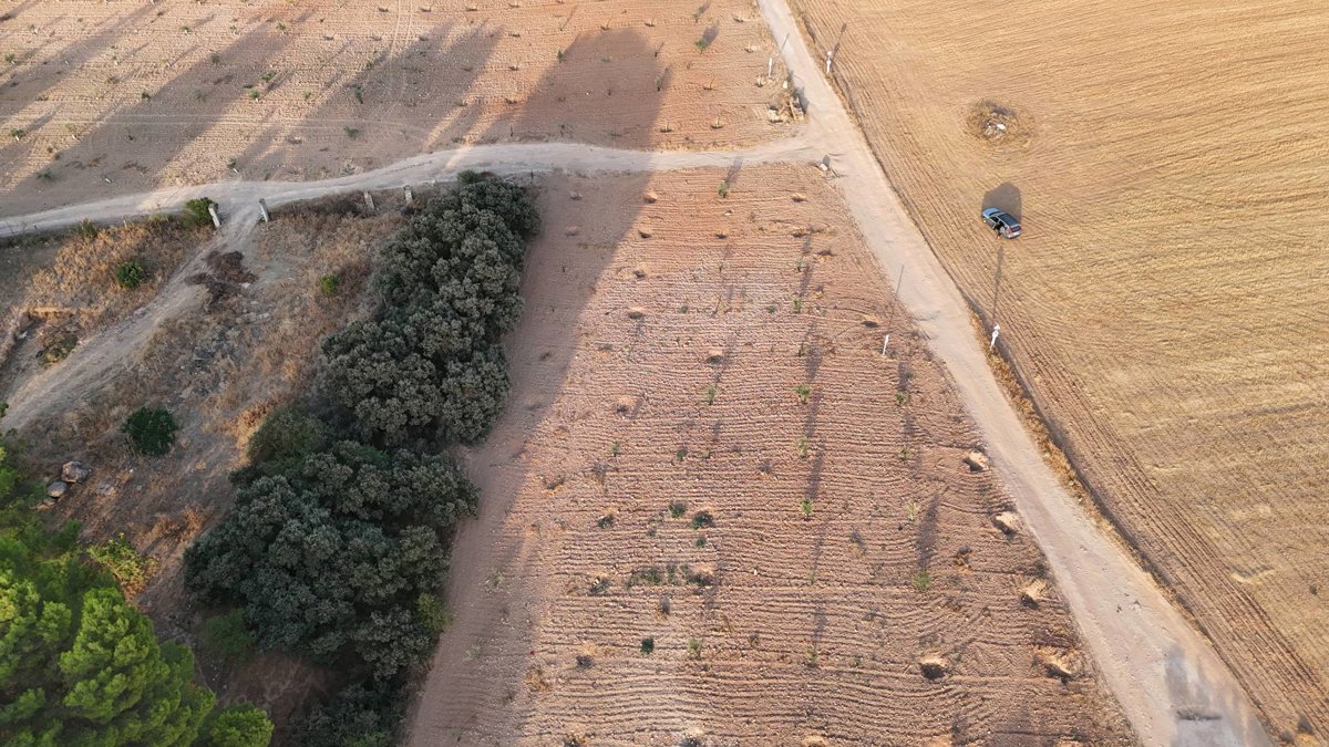 Thumbnail preview for 3D Drone Model of Parking Observatorio De Aves Cubillas in Albolote, Andalusia, Spain