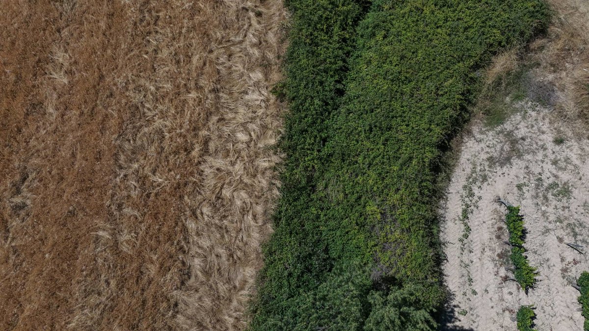 Thumbnail preview for 3D Drone Model of Casa Rural Irigoienea Julian in Sada, Nc, Spain