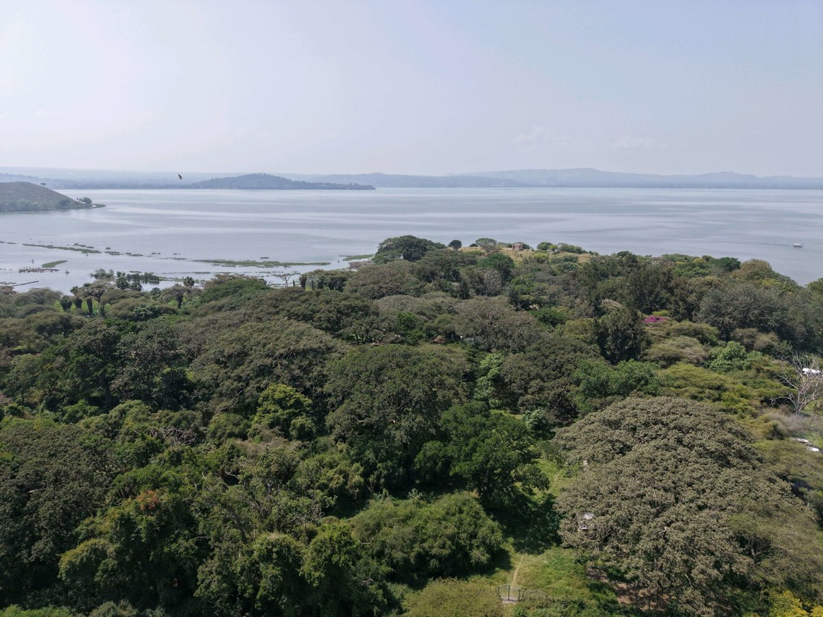 Drone 3d model of ሌዊ ሪዞርት Lewi Resort Entrance Affini cultural hall in ሌዊ ሪዞርት lewi Aerial drone 3d model in Hawassa, Snnpr, ET