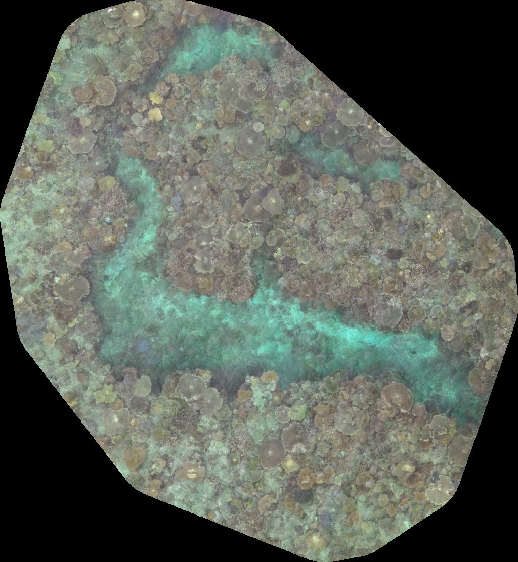 Drone map of Moon Reef Lolomalevu Settlement in silana village Aerial drone map in Silana, Region, FJ