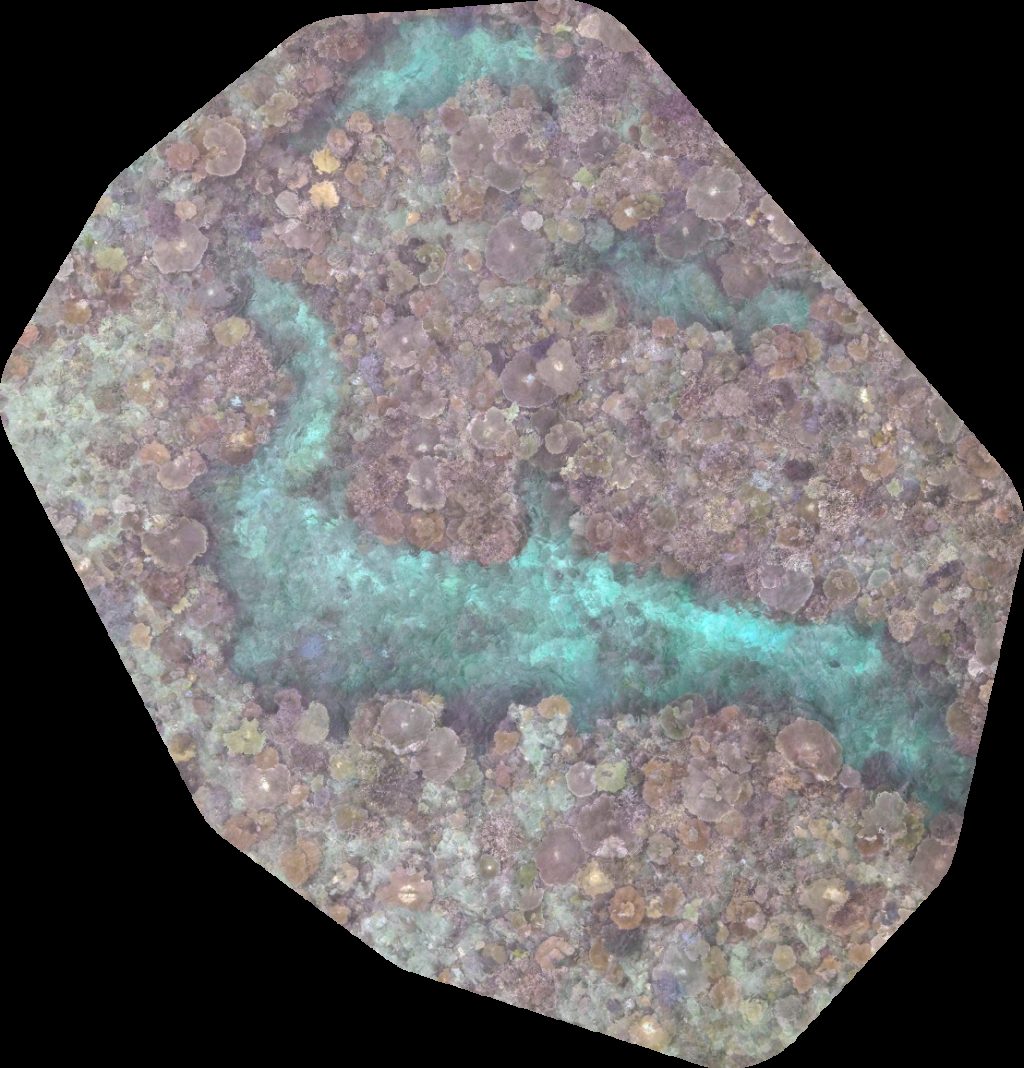 Drone map of Moon Reef Lolomalevu Settlement in silana village Aerial drone map in Silana, Region, FJ