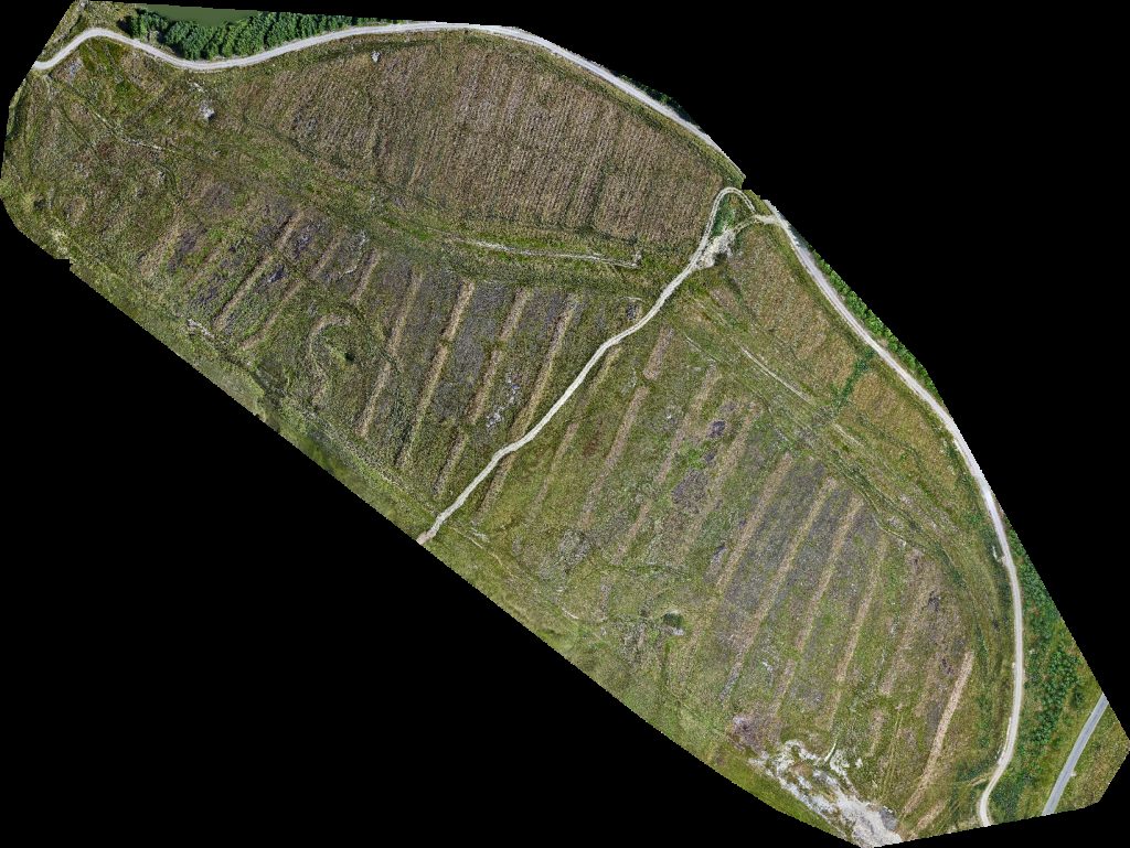 Thumbnail preview for Drone Map of Stang Forest Wallers Pond in County Durham, England, United Kingdom