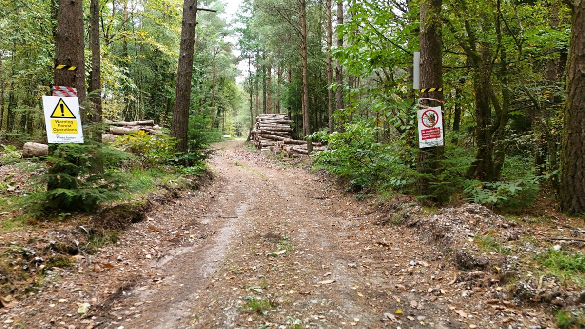 Drone 3d model of Sara Cartwright Art Castle Dyke in Stable Lodge Aerial drone 3d model in Devon, England, GB