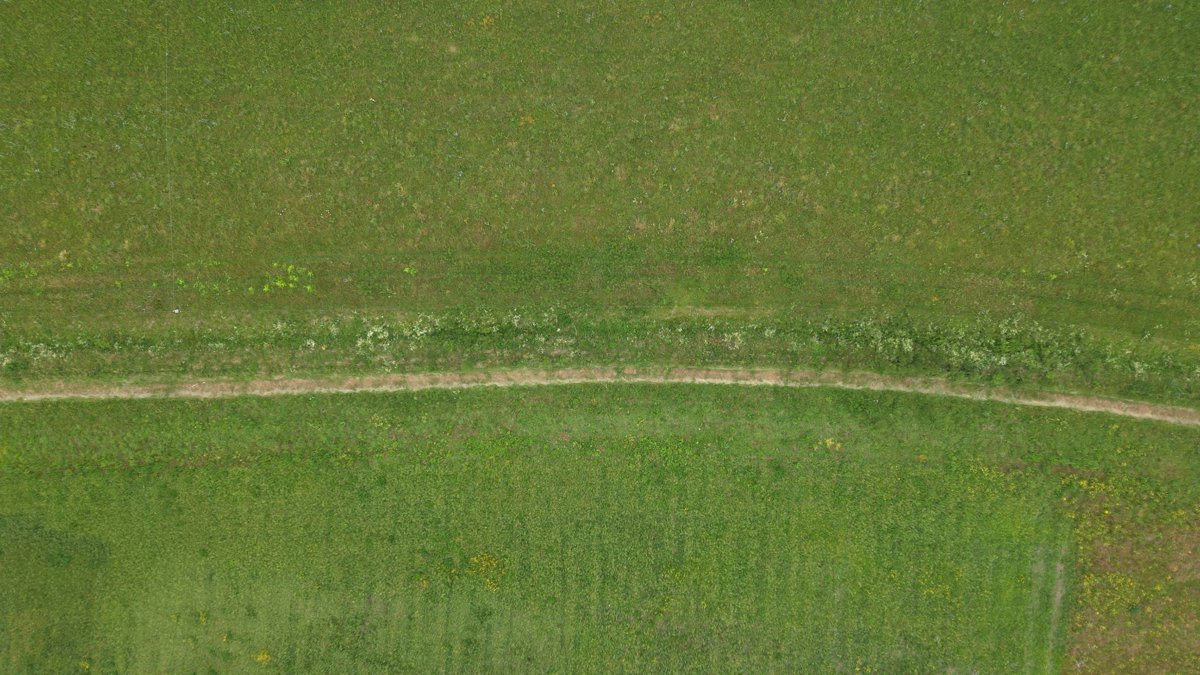 Thumbnail preview for 3D Drone Model of Shaw Swimming Jo Oliver Golf Academy in Graveley, England, United Kingdom