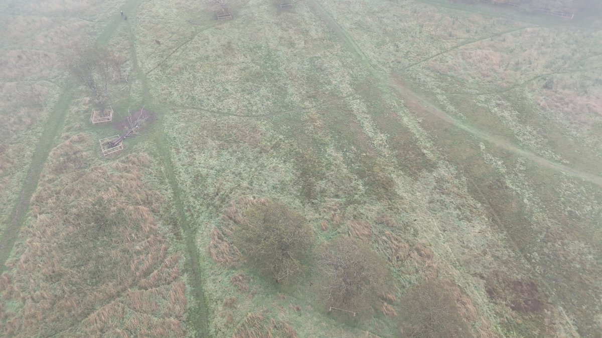 Drone 3d model of Boo s Pet Care hykeham heating contractors Aerial drone 3d model in Lincolnshire, England, GB