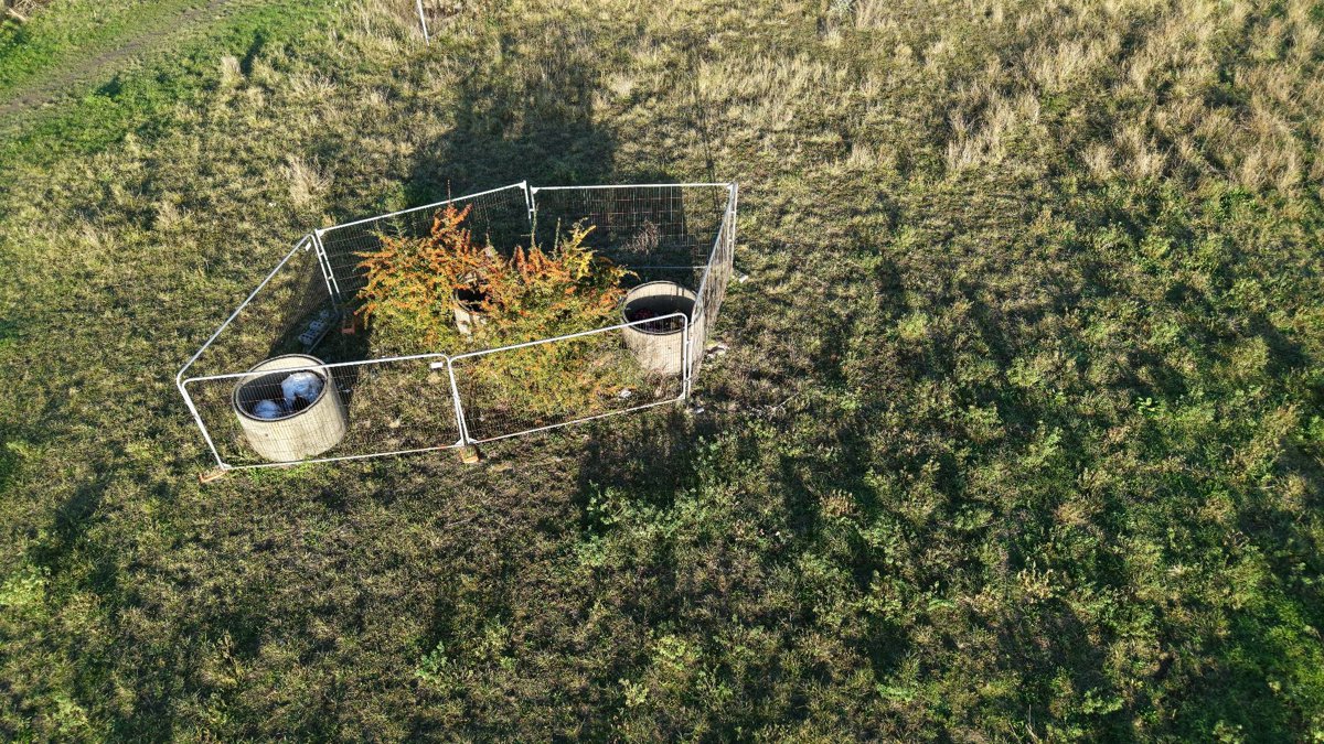 Drone 3d model of Memorials Grinding Machine Spares in Castle View Business Centre Aerial drone 3d model in Medway, England, GB