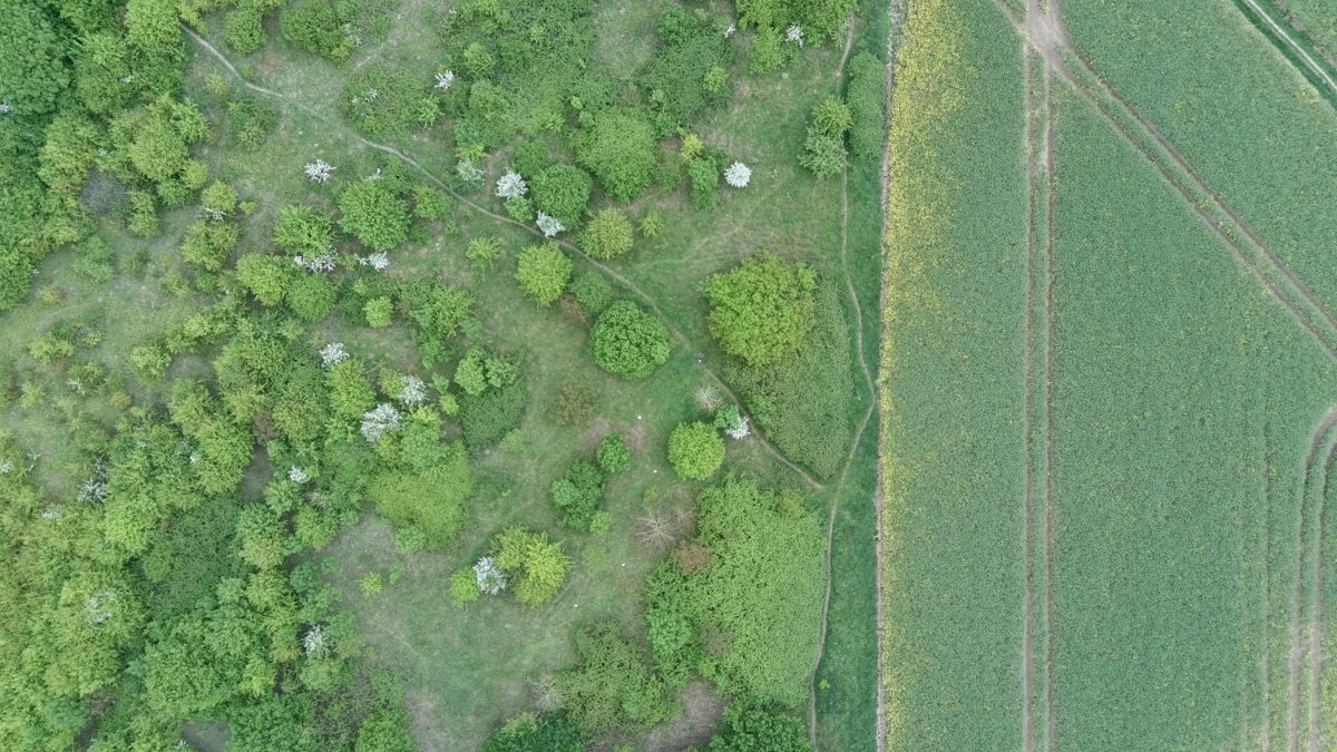Drone 3d model of Country Practice Pharmacy Aerial drone 3d model in Needham Market, England, GB