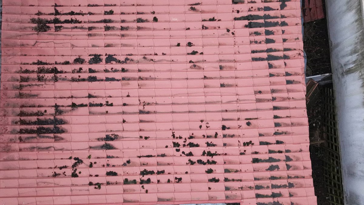 Drone 3d model of Long Pasture Drive The Room Of Beauty Ltd in Long Aerial drone 3d model in Norton, England, GB