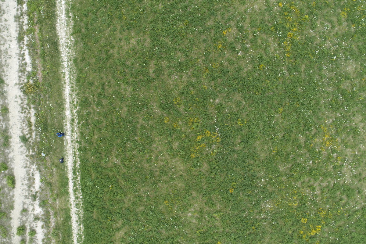 Drone 3d model of Move Massage Defacto Records Music Studio Home of Group in st marys church Aerial drone 3d model in Oxfordshire, England, GB