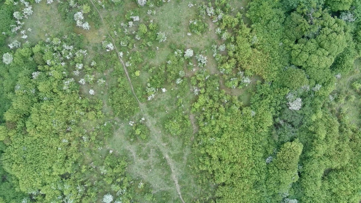 Drone 3d model of Sarah Harvey Counselling Dr Chris Roberts in needham market Aerial drone 3d model in Suffolk, England, GB