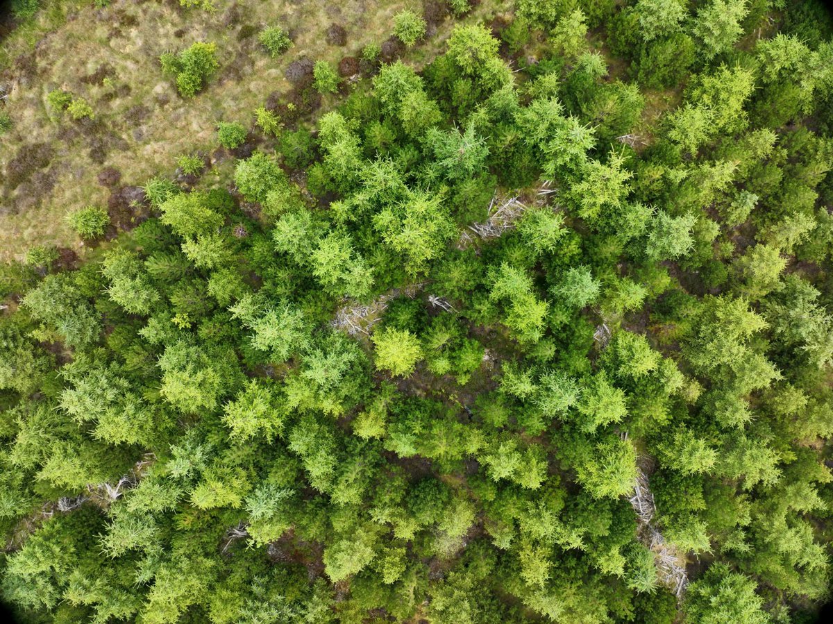 Thumbnail preview for 3D Drone Model of Strathmore Accharainie Burial Ground Dirlot Castle in Highland Council, Scotland, United Kingdom