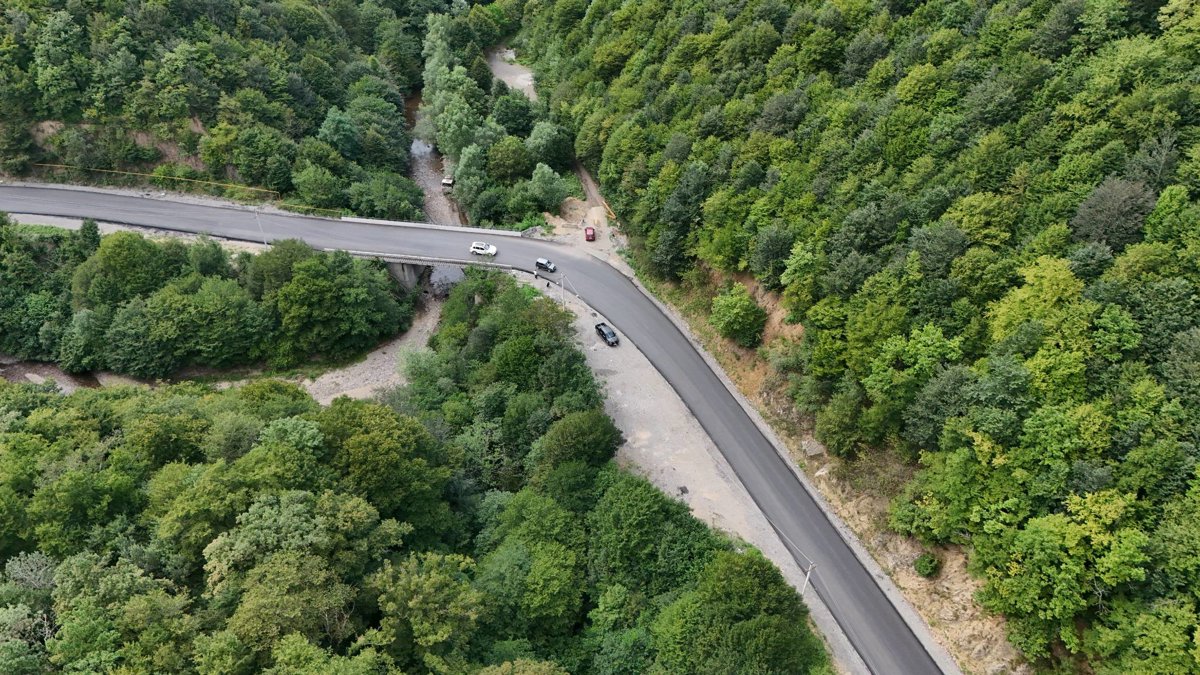 Thumbnail preview for 3D Drone Model of Ჯრია Სათევზაო in Chalovani, Imereti, Georgia