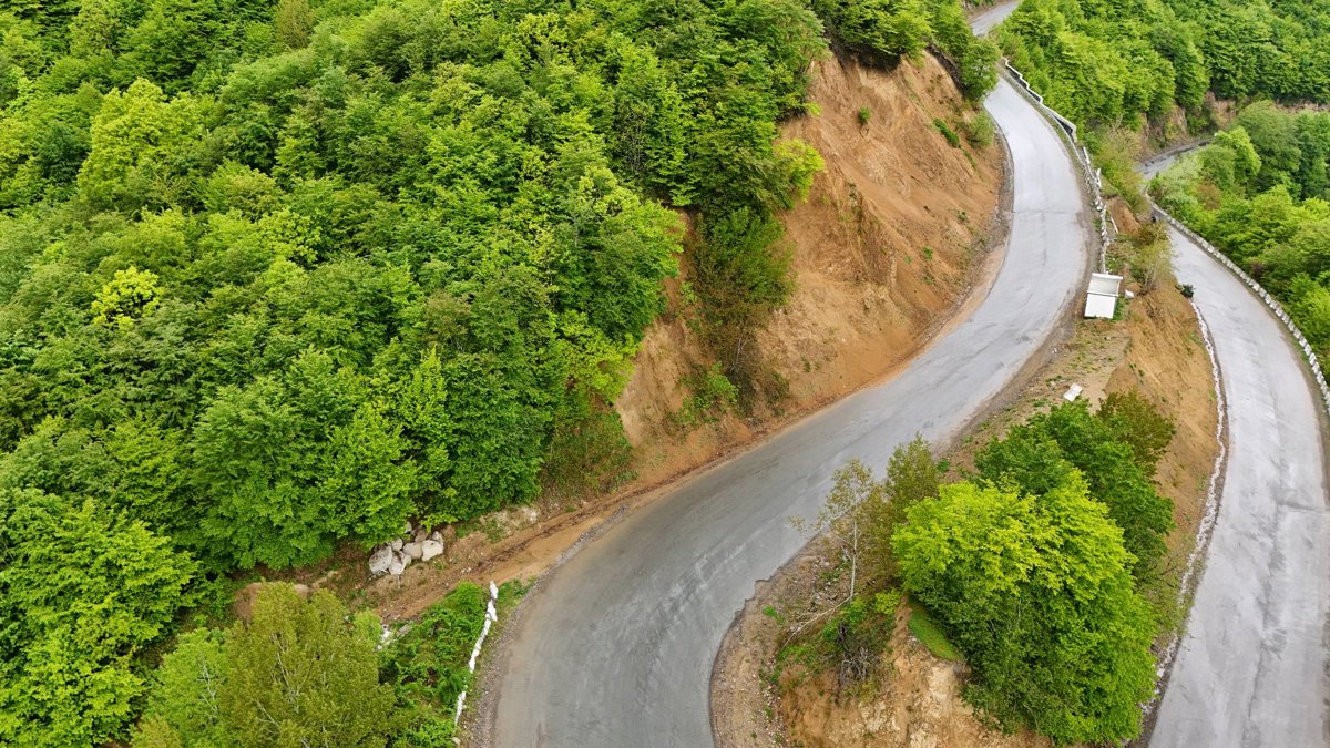 Drone 3d model of რესტორანი WC Aerial drone 3d model in Khashuri Municipality, Imereti, GE