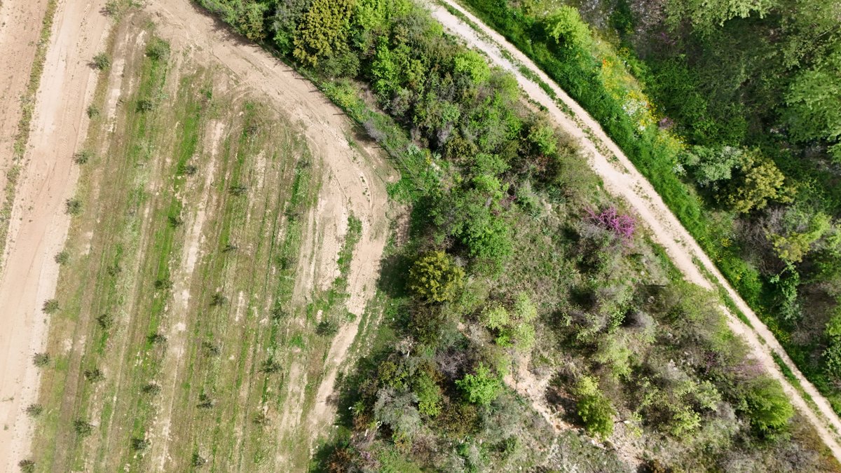 Drone 3d model of Άγιος Σπυρίδων Olympus Fruits in oikos olympos Aerial drone 3d model in Agios Spyridonas, Region, GR