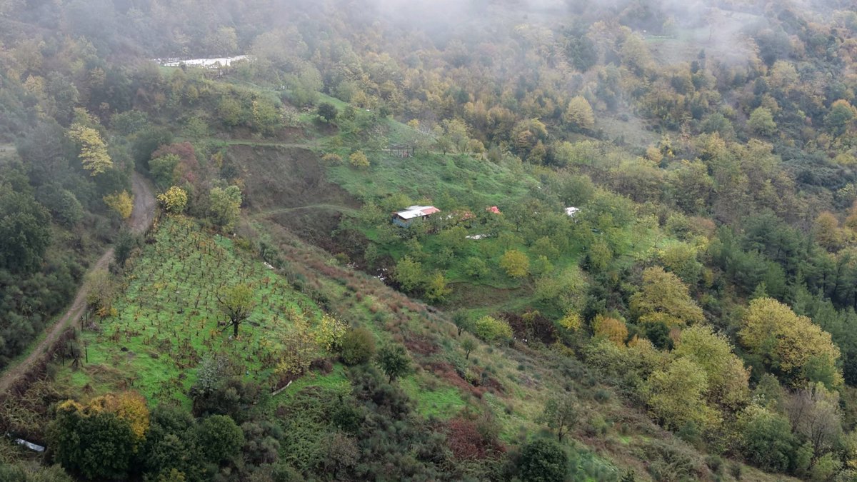 Drone 3d model of Playground ΕΥΟΙΝΟΣ Ταβέρνα Ψησταριά Aerial drone 3d model in Kotroni, Region, GR