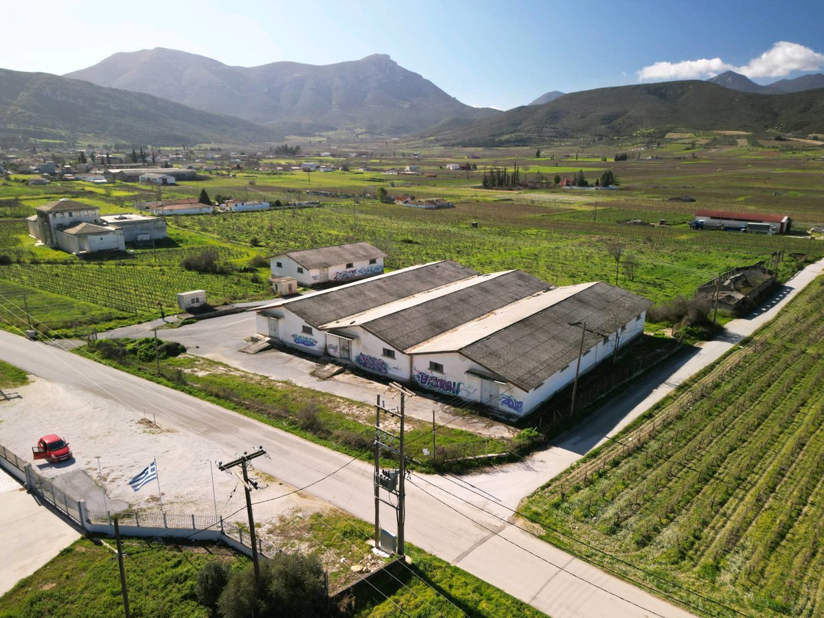 Drone 3d model of ΕΑΣ Νεμέας Nemeion Estate Aerial drone 3d model in Nemea, Region, GR