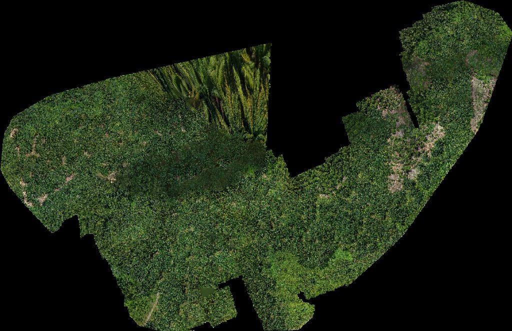 Thumbnail preview for Drone Map of Multimaderas Finca Sololá in Rio Bravo, Suchitepéquez Department, Guatemala
