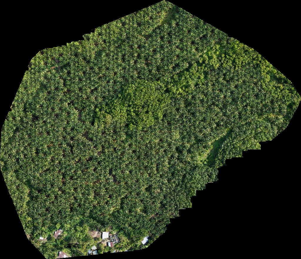 Drone map of Complejo Santa Ana Finca San José Nueva Granada Rope in la prosperidad Aerial drone map in Centroamérica, Suchitepequez, GT