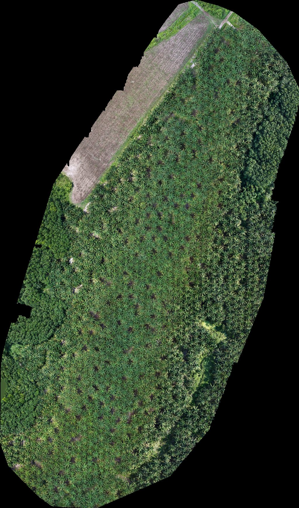 Drone map of Complejo Santa Ana Planta CTL Tiquisate in la prosperidad Aerial drone map in Centroamérica, Suchitepequez, GT