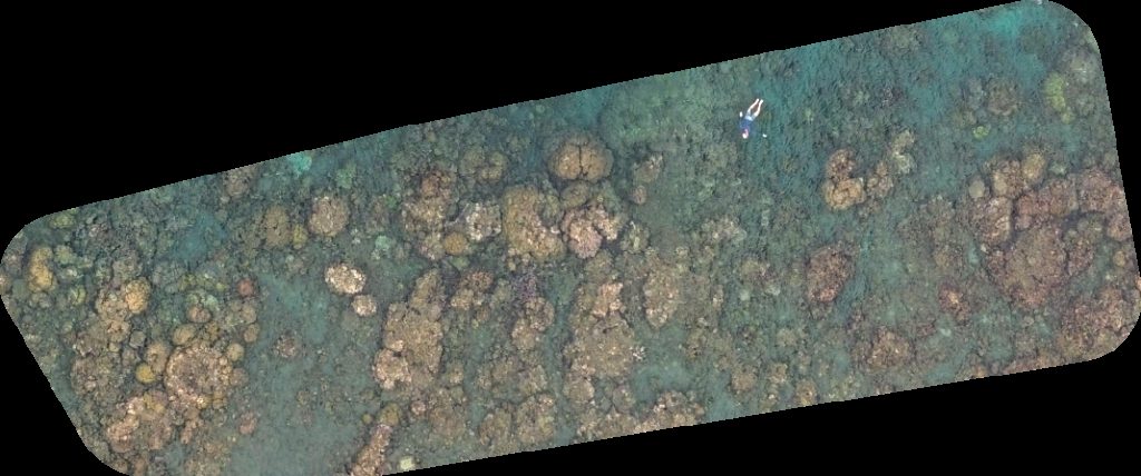 Drone map of Wayan Snorkeling Boat Tours Lipah point at and tour in boat trip Aerial drone map in Kabupaten Karangasem, Bali, ID