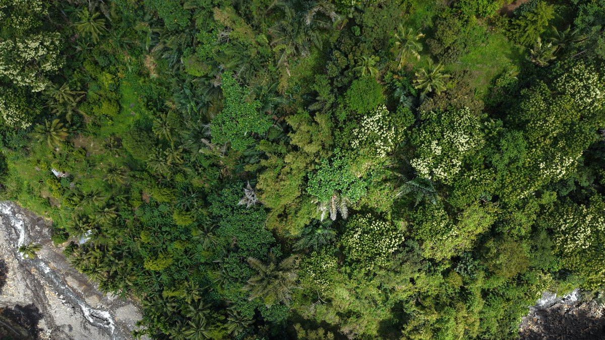 Drone 3d model of CADIV Hendra Aerial drone 3d model in Nagekeo Regency, East Nusa Tenggara, ID