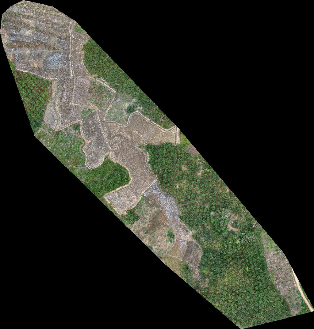 Drone map of Jasa terapi rukiyah rumah herbal DESA SUNGAI MAWANG in desa sungai mawang Aerial drone map in Kabupaten Sanggau, Kalimantan Barat, ID