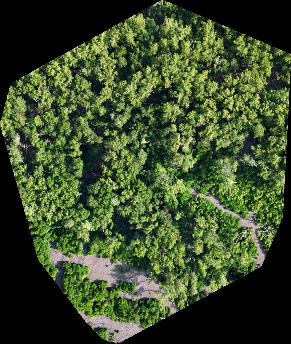 Drone map of Base Camp PT BUMWI Babo Port Aerial drone map in Kabupaten Teluk Bintuni, Papua Barat, ID