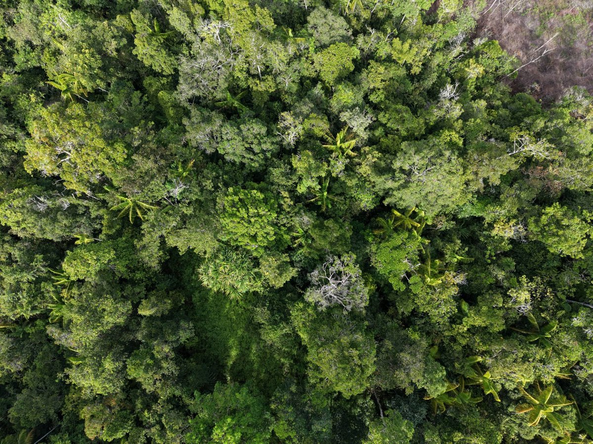 Drone 3d model of Bukit Iroy Kabut Gereja Kristen Injili di Tanah Papua in kampung maribu Aerial drone 3d model in Jayapura Regency, Papua, ID