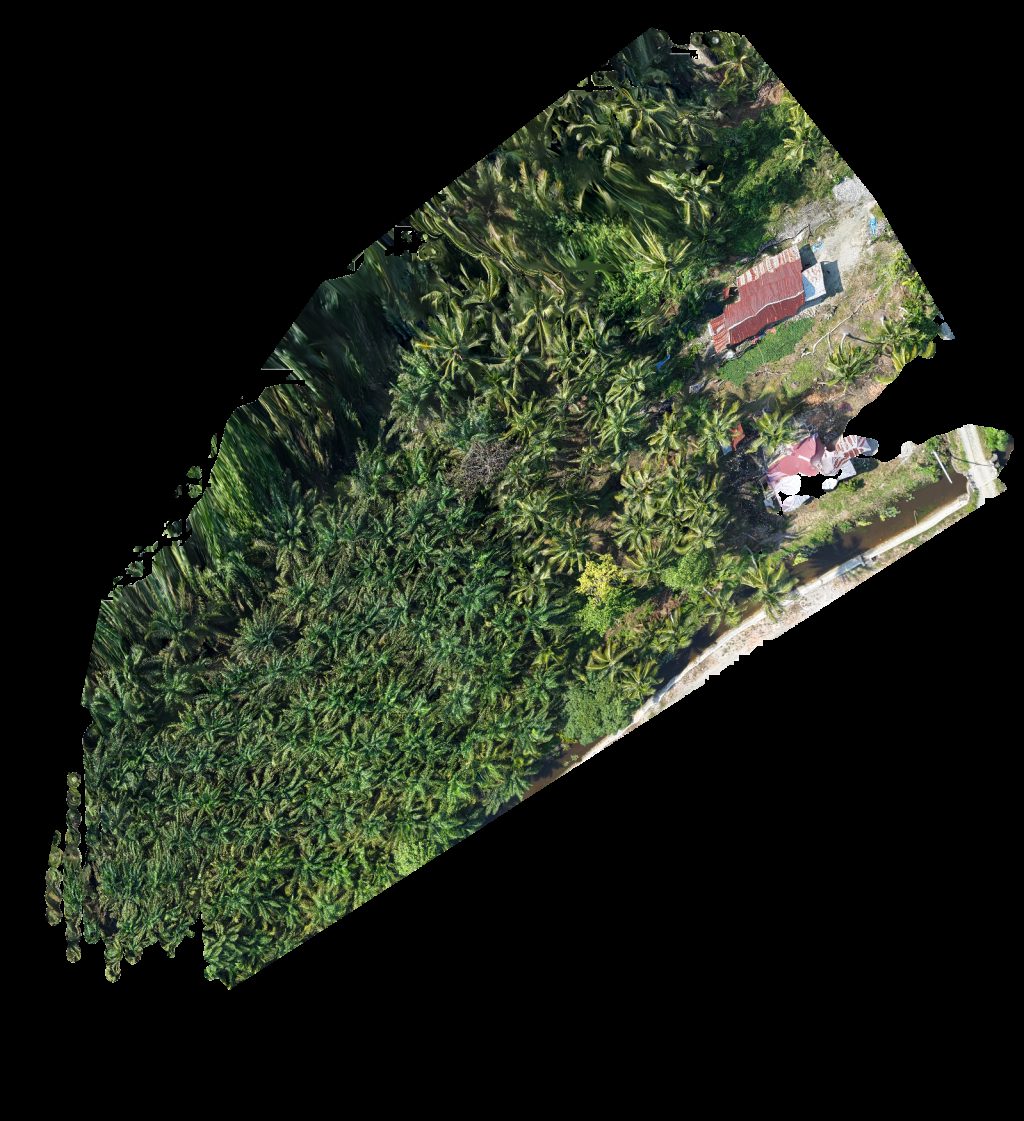 Drone map of Patahuddin Aco eka Aerial drone map in East Luwu Regency, South Sulawesi, ID