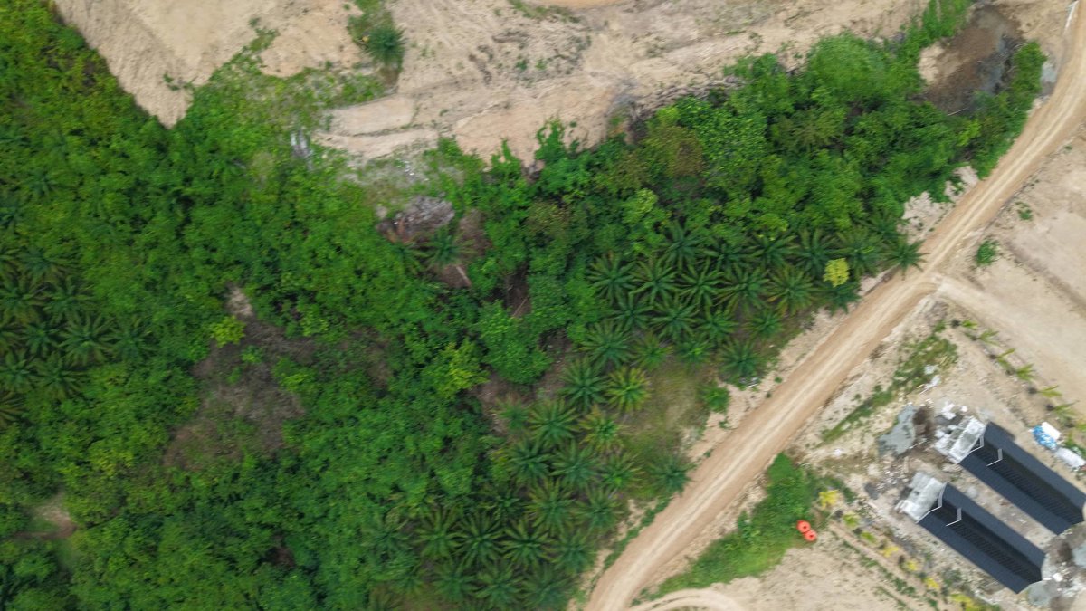 Thumbnail preview for 3D Drone Model of Sungai Ceddang Asrama Santri Mts in Wajo Regency, South Sulawesi, Indonesia