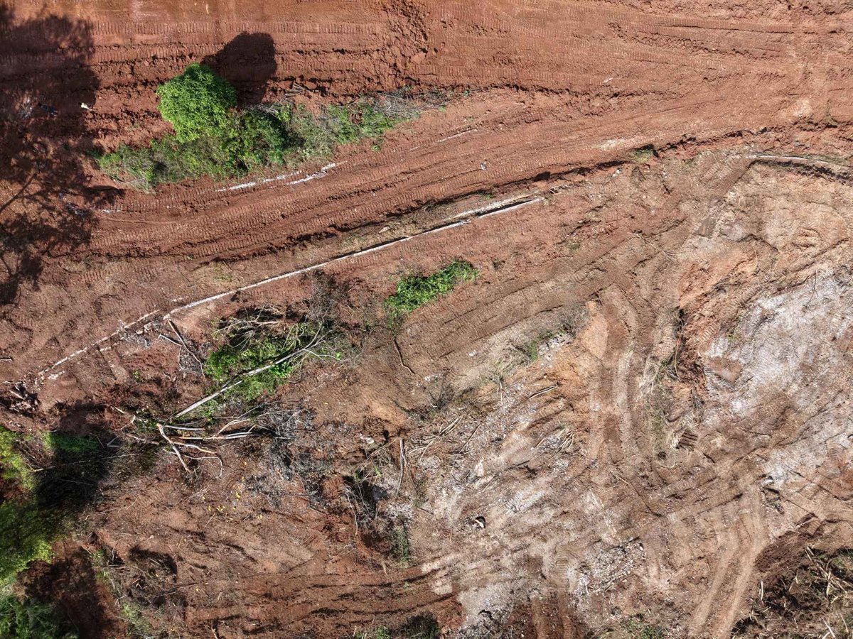 Drone 3d model of PT Samator Indo Gas Mess Aneka Industri Aerial drone 3d model in Kabupaten Luwu Timur, Sulawesi Selatan, ID