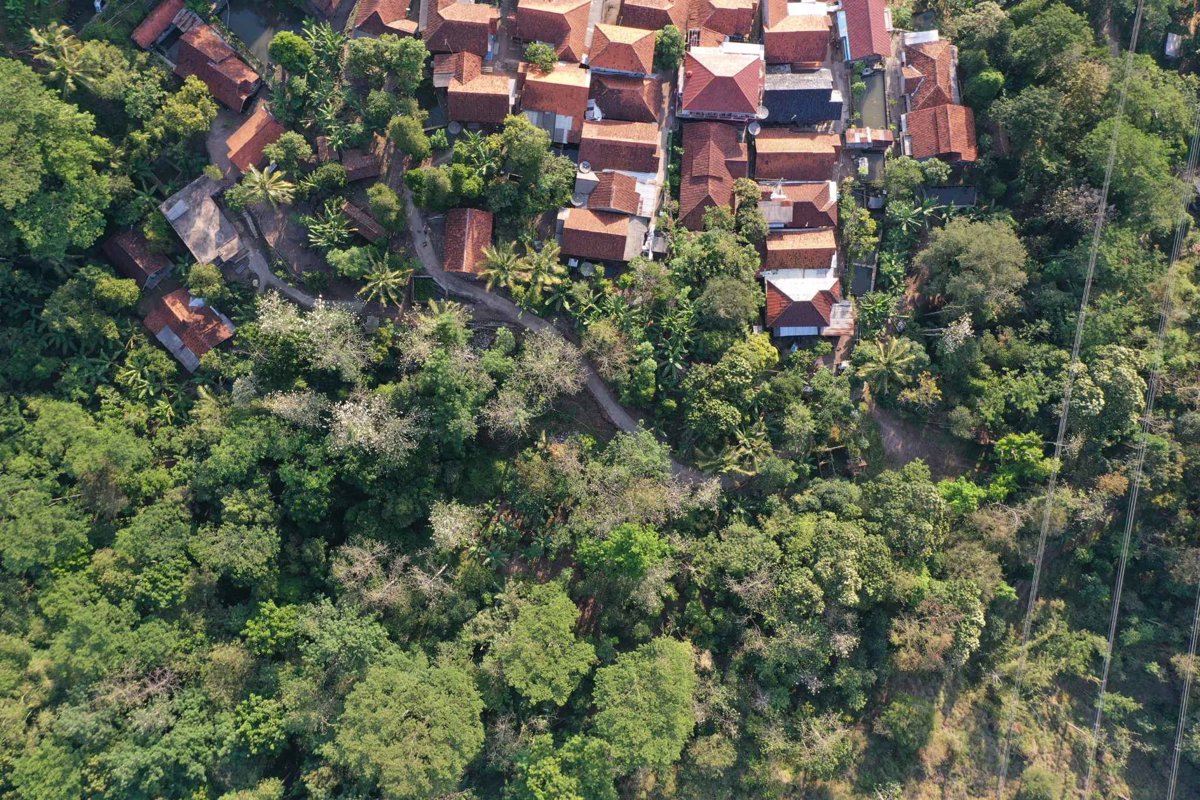 Drone 3d model of Rumah DM rt dekebonz agribusiness in rumah agus sunardi Aerial drone 3d model in Kuningan Regency, West Java, ID