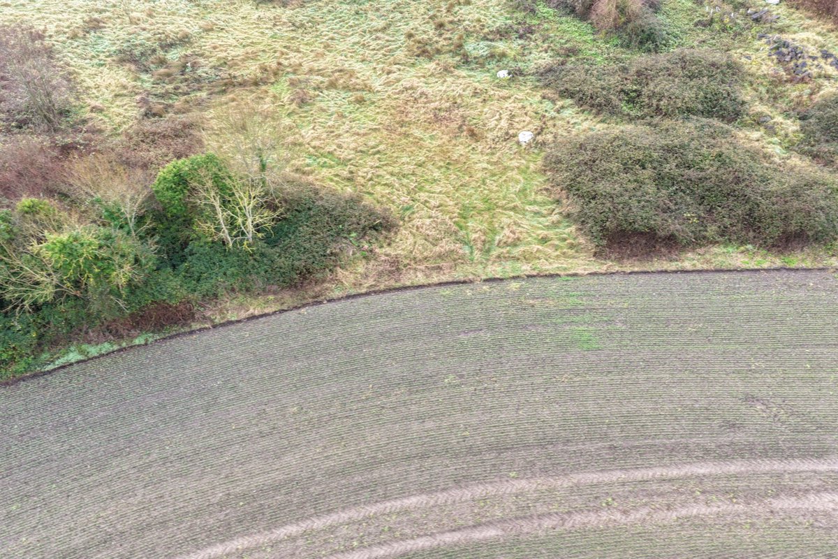 Drone 3d model of Former Site of the Sunday Well Lissenhall Nurseries in Lissenhall Little Aerial drone 3d model in Swords, County Dublin, IE