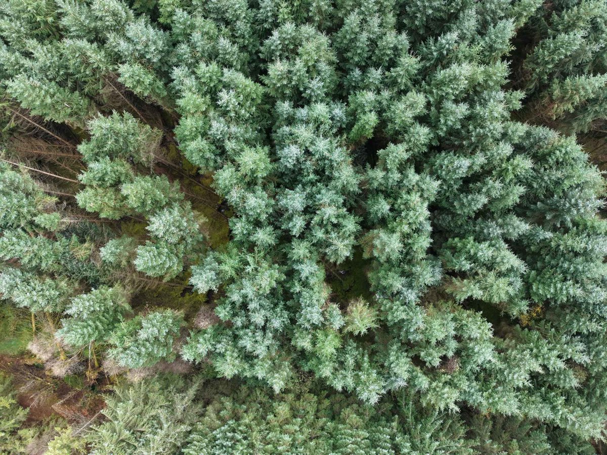 Drone 3d model of Newbridge Walking Trail Cunningham and Sons Heavy Recovery in Boherbannagh Aerial drone 3d model in , County Galway, IE