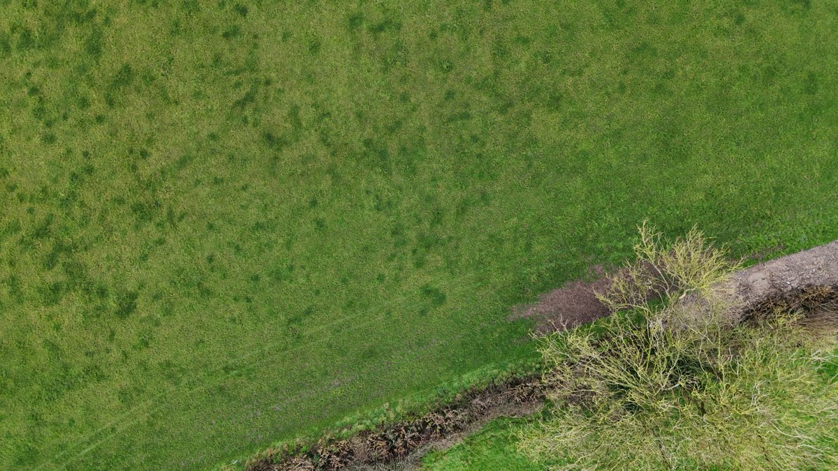 Drone 3d model of Aviator Haus Country Market Aerial drone 3d model in Kildare, County Kildare, IE