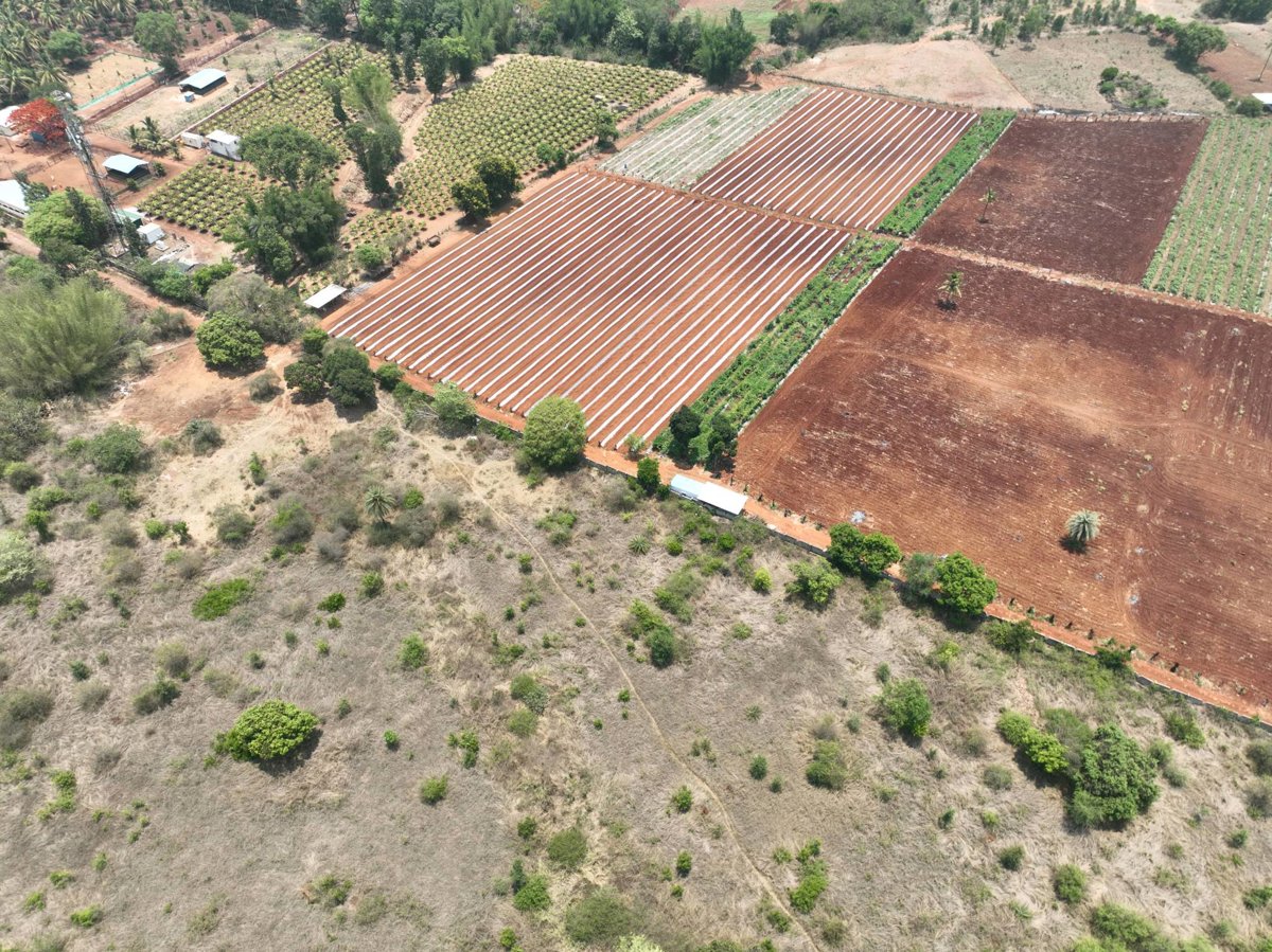 Drone 3d model of Organic Cafe Kailasa Koteshwar Family in Nrithyagram Aerial drone 3d model in Hesaraghatta Grass Farm, Ka, IN