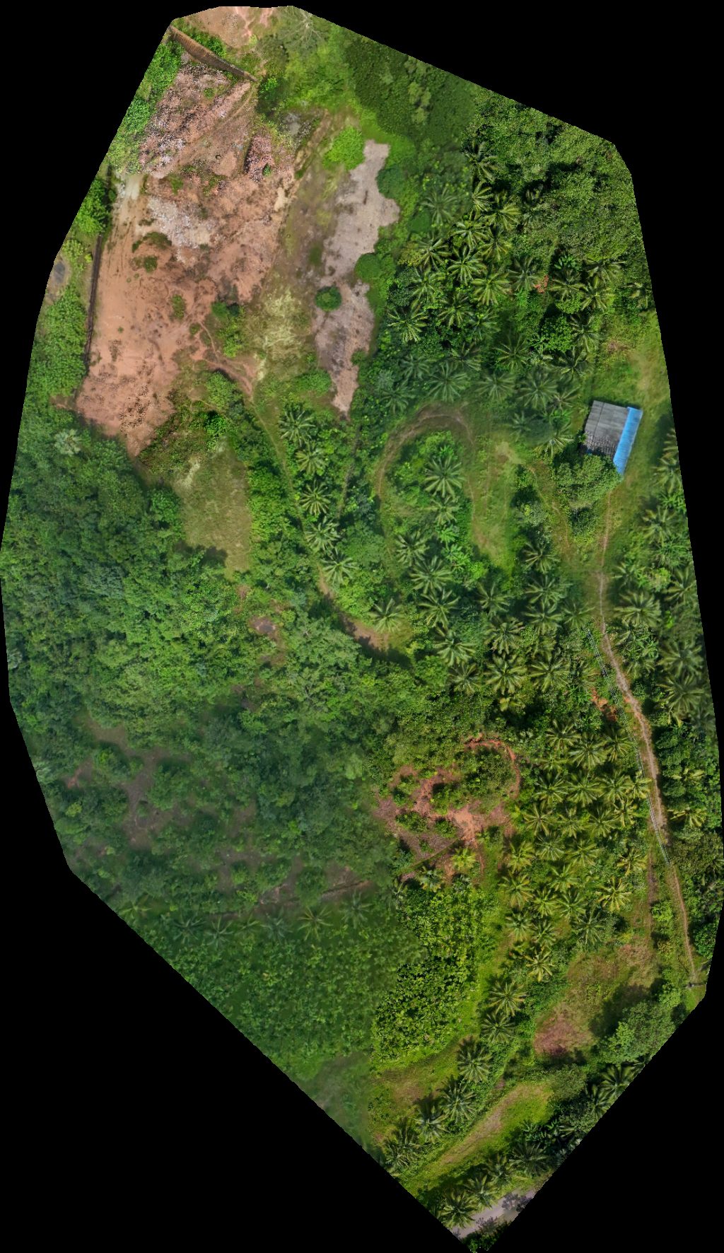 Drone map of P MADHAVA padu land pk in padu kombel Aerial drone map in Mangaluru, Ka, IN