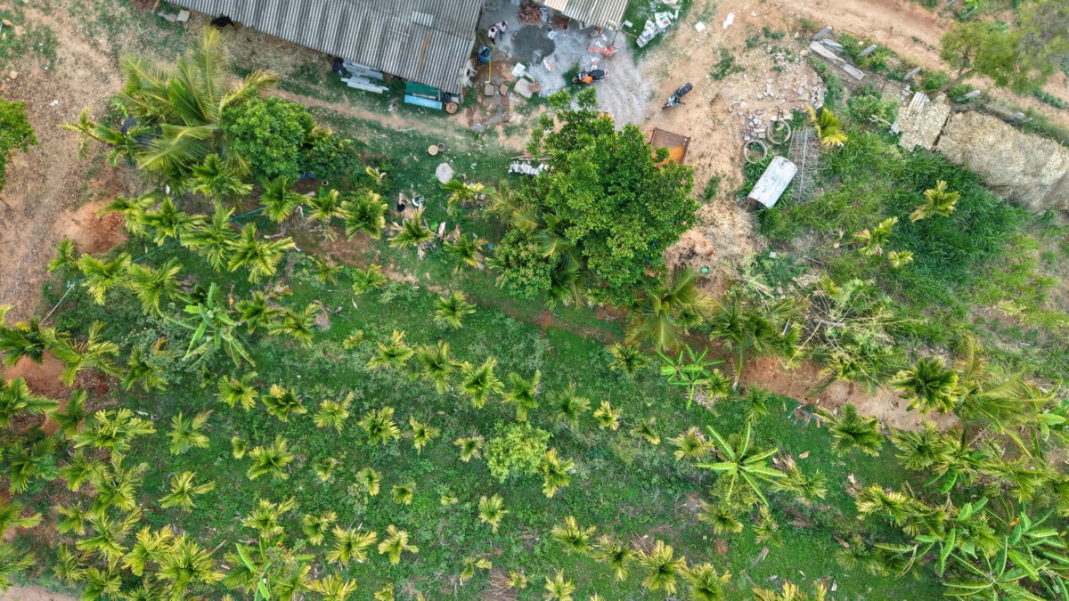 Drone 3d model of SAMRUDI FARMING AND ANIMAL HUSBANDRY ಅರ ಣ್ ತ ಟದ ಹ ಲ ಮನೆ in poultry farm Aerial drone 3d model in Yalerampura, Ka, IN