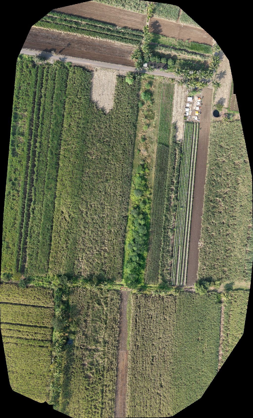 Drone map of Sachin Patil Home Dushant Nitin Krushnat More Aerial drone map in Kapil, Mh, IN