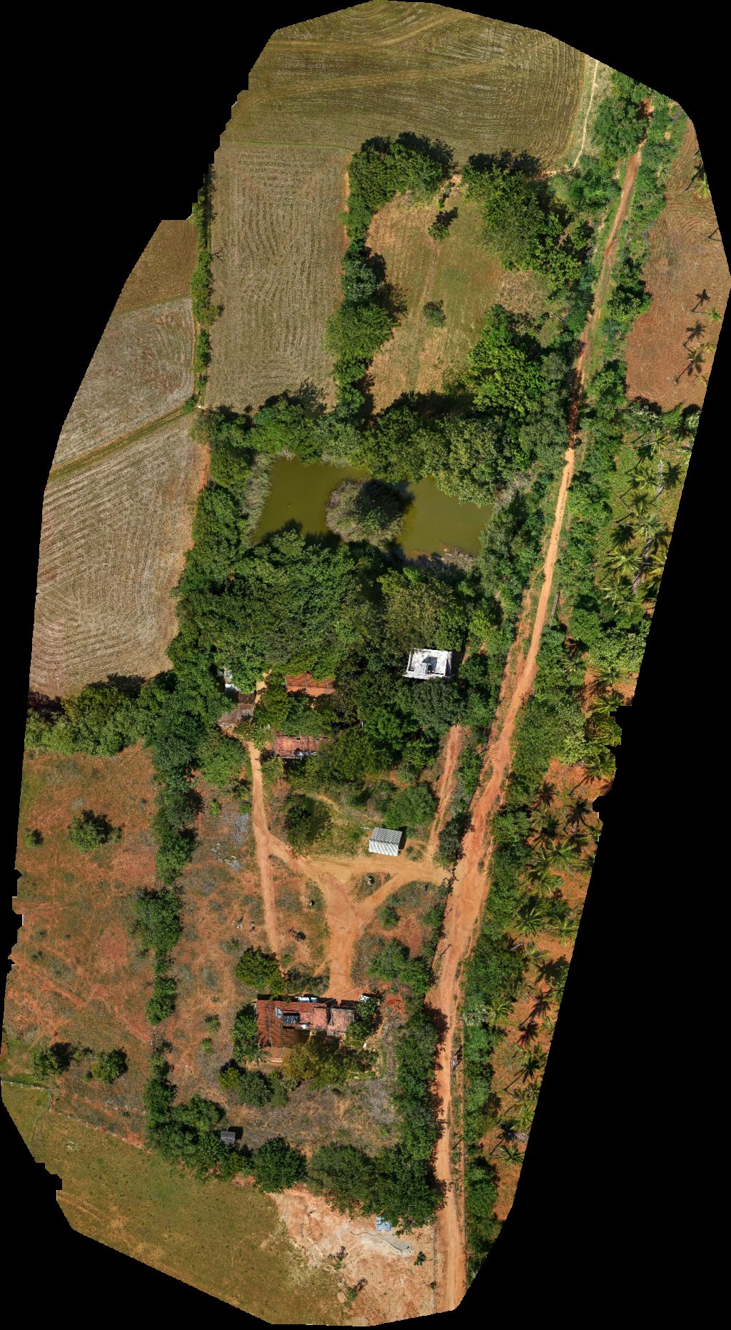 Drone map of ACCC ATREE Vincent Farms in Mukkavar Aerial drone map in Manimutharu, Tn, IN