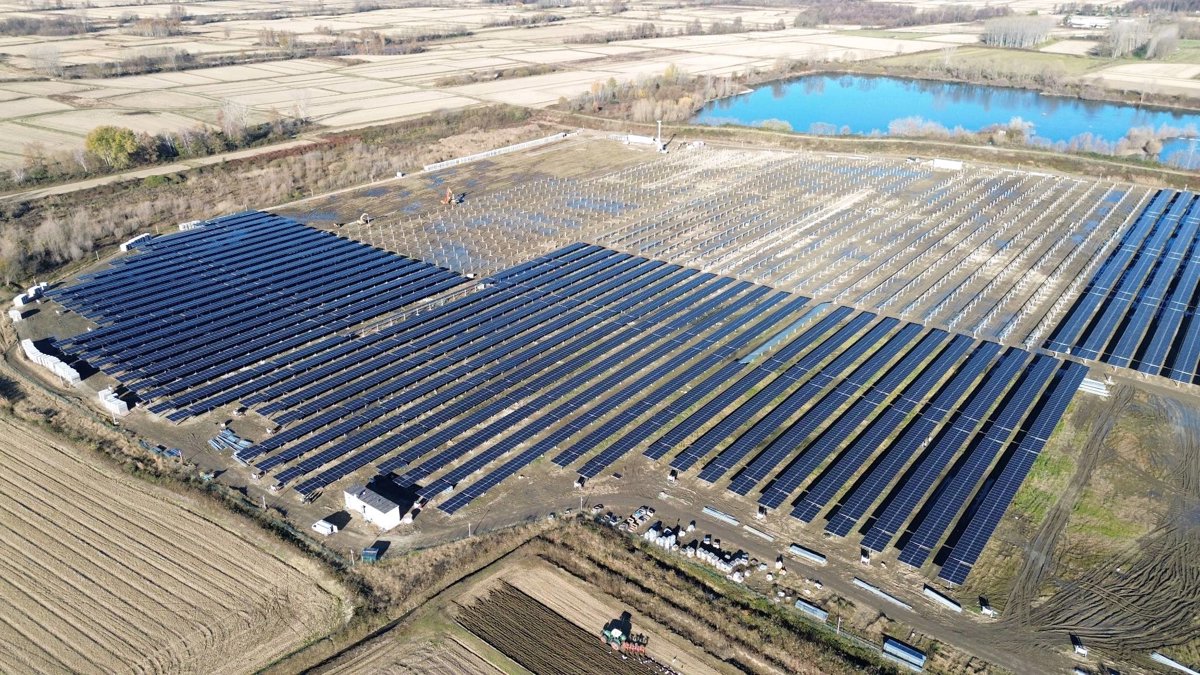 Drone 3d model of Falcone Management Car srl Az Agr Collesei Matteo in aquila nera Aerial drone 3d model in Provincia di Vercelli, Piemonte, IT