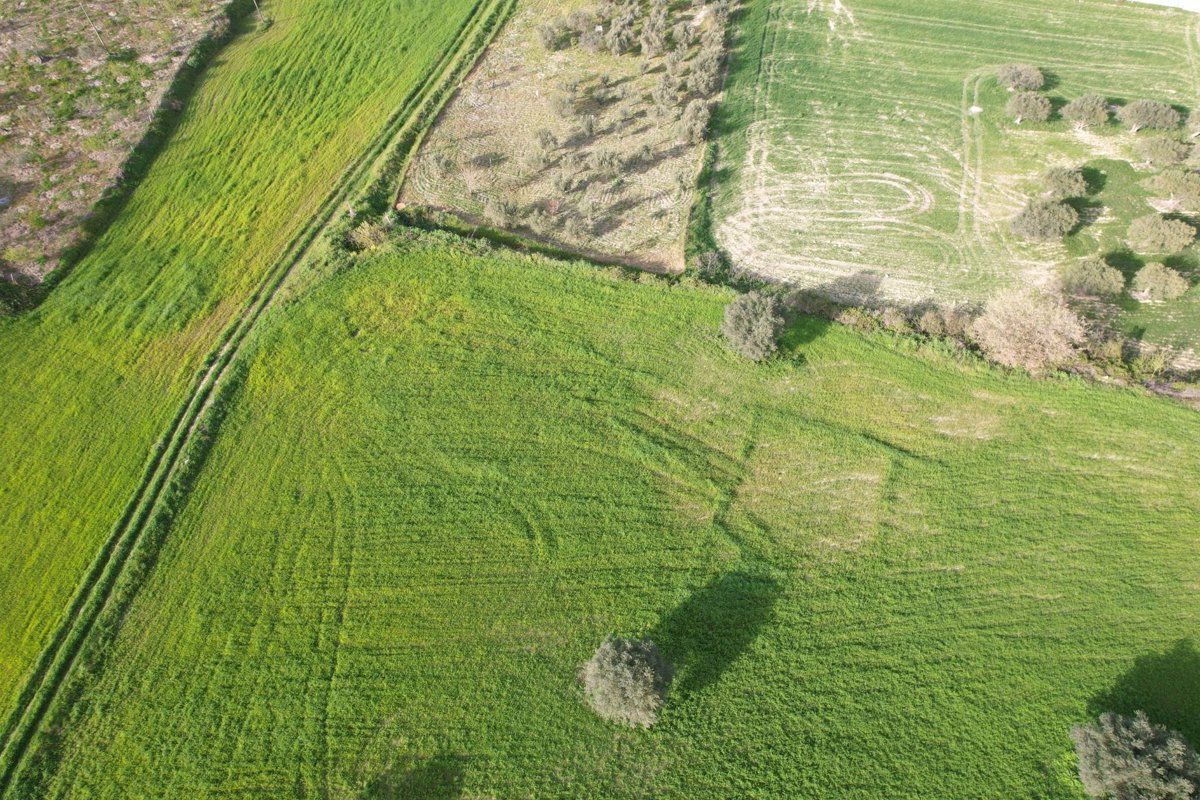 Drone 3d model of Valle del Sole Società agricola Appartamento in Villa Ottavia Holiday Home Aerial drone 3d model in Metropolitan city of Catania, Sicily, IT