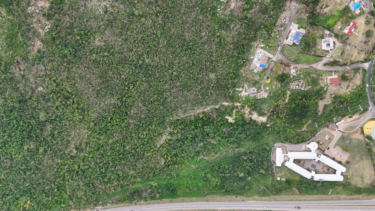 Drone 3d model of John Mullins Primary School Rollins Success in barrett town Aerial drone 3d model in St.Bran's Burg, St James Parish, JM