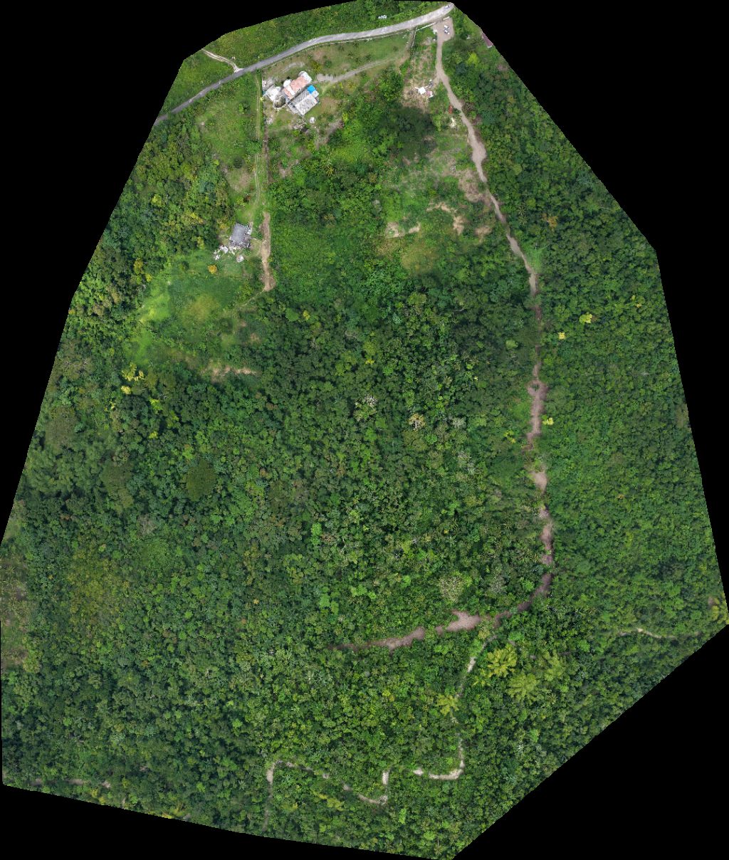 Drone map of KCL ENTERPRISE Peckwood Farms in st mary Aerial drone map in Llanrumney, St Mary Parish, JM