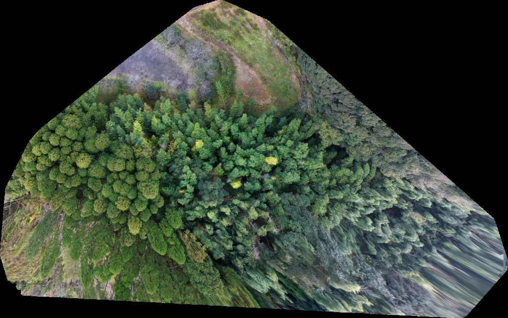 Drone map of Batokannon Fujimototaki Park in 9218 Aerial drone map in Satsumasendai, Kagoshima, JP