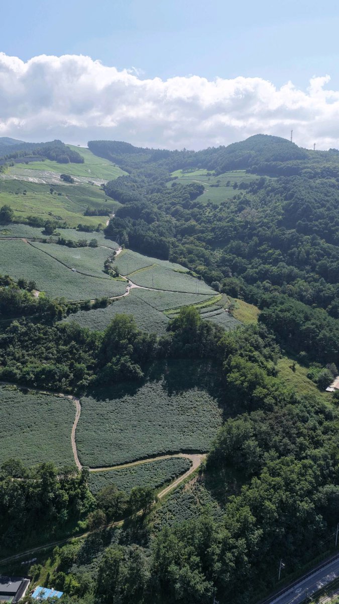 Thumbnail preview for 3D Drone Model of Girun Samgeori in Jeongseon Gun, Region, South Korea