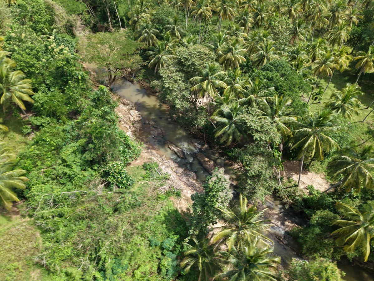 Drone 3d model of Polonnaruwa ද ල්විට ප ලම in ජ කුර Aerial drone 3d model in Kurunegala, Nw, LK