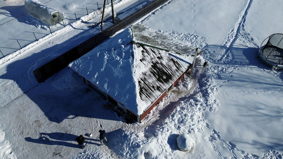 Drone 3d model of Deividas Andreika Spalvoti Sparnai in alyvų st Aerial drone 3d model in Vaiteliai, Klaipedos Apskritis, LT