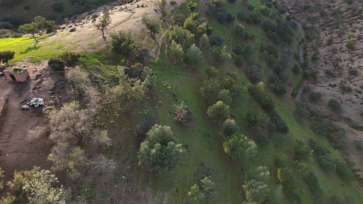 Drone 3d model of عين القرافي Qaloucha in أرض بوعزة صناك Aerial drone 3d model in Tleta Sibara Laghoualem, Rabat Sale Kenitra, MA