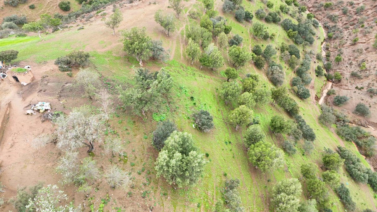 Drone 3d model of عين القرافي Qaloucha in أرض بوعزة صناك Aerial drone 3d model in Tleta Sibara Laghoualem, Rabat Sale Kenitra, MA